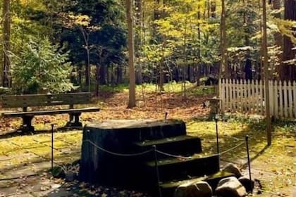 El "tocón de inspiración" de Lily Dale, un espacio de sanación en el boque.