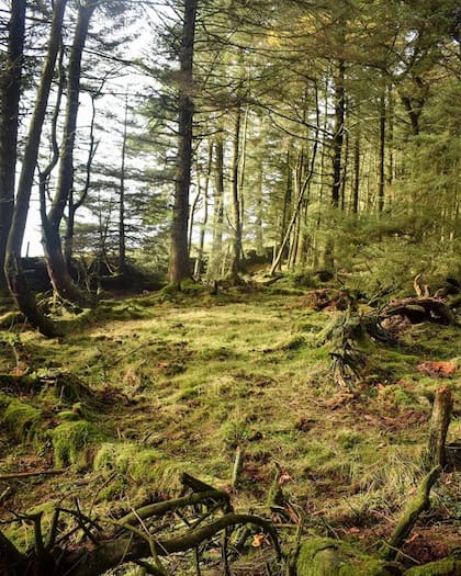 El Tolkien Trail de 11 kilómetros revela cómo el escritor se inspiró en los hermosos paisajes de Lancashire.