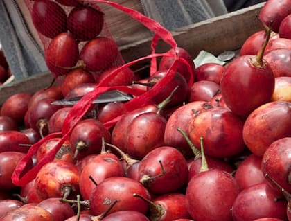 El tomate de árbol puede comerse entero, en jugos, mermeladas, conservas, ensaladas, salsas