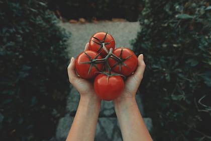El tomate posee una puntuación de 22.37 en su densidad de nutrientes.