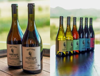 El tope de gama de la bodega es un vino naranjo hecho con uvas Roussanne