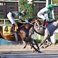 Un clásico icónico, un pasaje a Estados Unidos, los que van por el bicampeonato y grandes revanchas