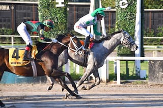 Un clásico icónico, un pasaje a Estados Unidos, los que van por el bicampeonato y grandes revanchas