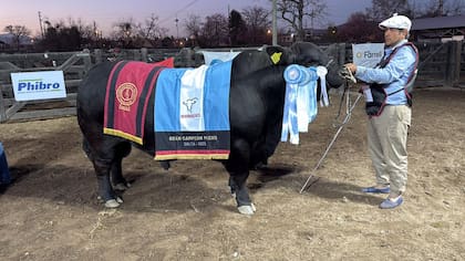 El toro Brangus Kukal vendido en $180 millones