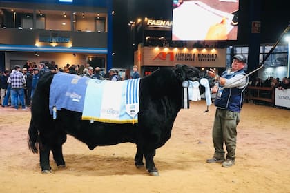 El toro campeón es copropiedad de diez socios, entre ellos Cabaña Delfinagro, Las Blancas y otros criadores reconocidos