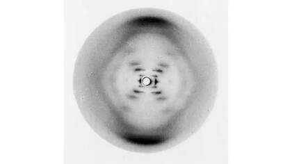 El trabajo de Bell le abrió camino a la icónica "Foto 51" de Rosalind Franklin y Raymond Gosling, clave para revelar la estructura del ADN