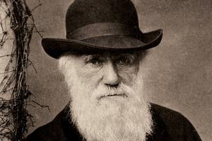 El trabajo de Charles Darwin sobre la teoría de la evolución por selección natural cambió la forma en la que vemos el mundo natural.