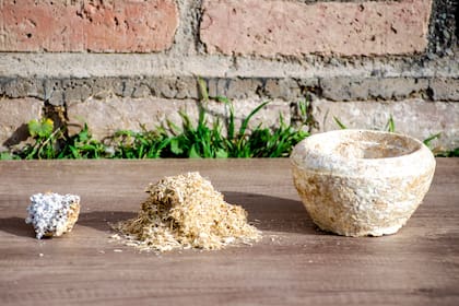 El trabajo de Fungipor conecta ciencia, diseño, agroindustria y emprendedores