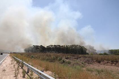 El trabajo de los bomberos en los incendios en Ezeiza
