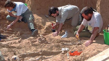 El trabajo de los forenses para recuperar los restos de los guerrilleros