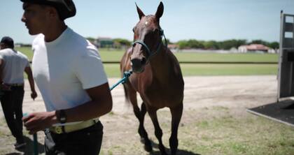 El trabajo de los polistas, sus patrocinadores y el equipo