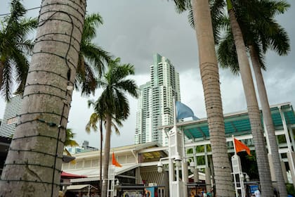 El trabajo en Miami que puede dar acceso a una visa