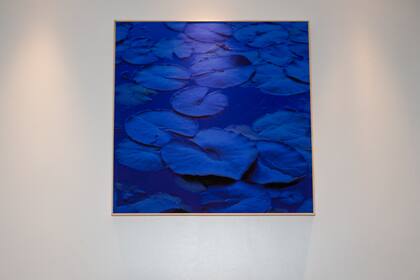 El trabajo fotográfico de EYE-V Gallery de Paola Marzotto.