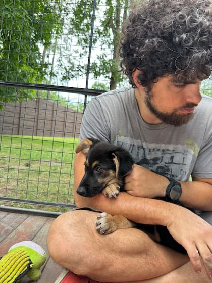 El trabajo para lograr que el animal confiara fue paulatino.
