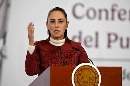 El trámite obligatorio forma parte de las medidas de Sheinbaum para luchar contra el narcotráfico y la desaparición de personas