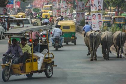 El tránsito en las grandes ciudades, todo un desafío