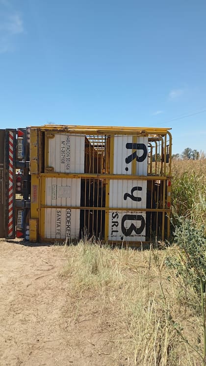 El transportista era RyB SRL