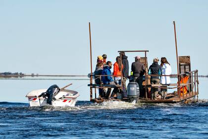 La reintroducción de Alondra se hizo en conjunto por The Conservation Land Trust (CLT), el gobierno de Corrientes y Parques Nacionales