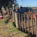 El descargo del dueño del feedlot allanado en Córdoba