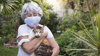 El trastorno Petofilia va más allá de la simple ‘humanización’ de las mascotas