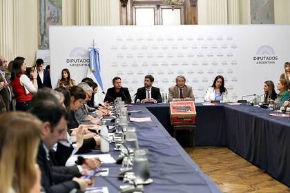 El tratamiento de la ley de Ficha Limpia en la Cámara de Diputados, que ya tiene dictamen de comisión