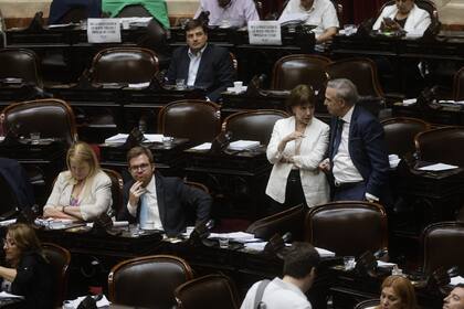 El tratamiento de la "Ley Ómnibus" en la cámara de Diputados