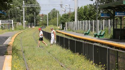 El tren sólo llega hasta Berazategui; en el resto de la traza, las estaciones están vacías