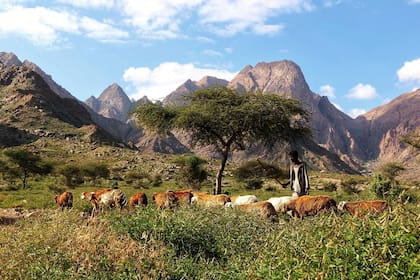 El triángulo de Hala'ib es un territorio fértil, con salida al mar y con pozos petroleros que sí se disputan Egipto y Sudán