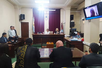 El Tribunal Oral Federal N°1 de Salta condenó a la ex Miss Orán Martina Oliva a la pena de siete años de cárcel