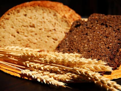 El trigo contiene carbohidratos fermentables que ocasionan hinchazón