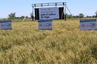 El agro y la privatización de la ciencia en un país detonado