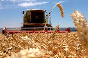 En el primer bimestre del año las exportaciones agroindustriales subieron un 7%