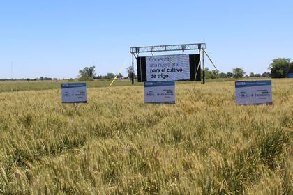 Un lote con la tecnología de Bioceres