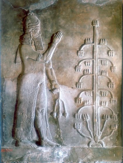 El triunfador: Sargón I de Acadia (en acadio Sharrum-kin, "rey legítimo", "rey verdadero") ante un árbol de la vida. Conocido como Sargón el Grande fue el fundador de la dinastía semítica acadia.