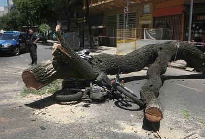 El tronco de la tipa sobre la motocicleta, en la avenida Entre Ríos al 900