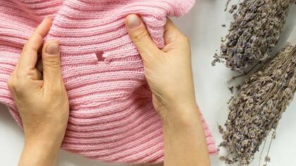 El truco casero para deshacerte de las polillas en casa y mantenerlas alejadas para siempre