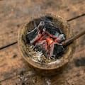El truco de la brasa dentro del mate: cuál es su beneficio y por qué recomiendan hacerlo
