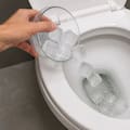 Por qué recomiendan tirar cubos de hielo en el inodoro y para qué sirve