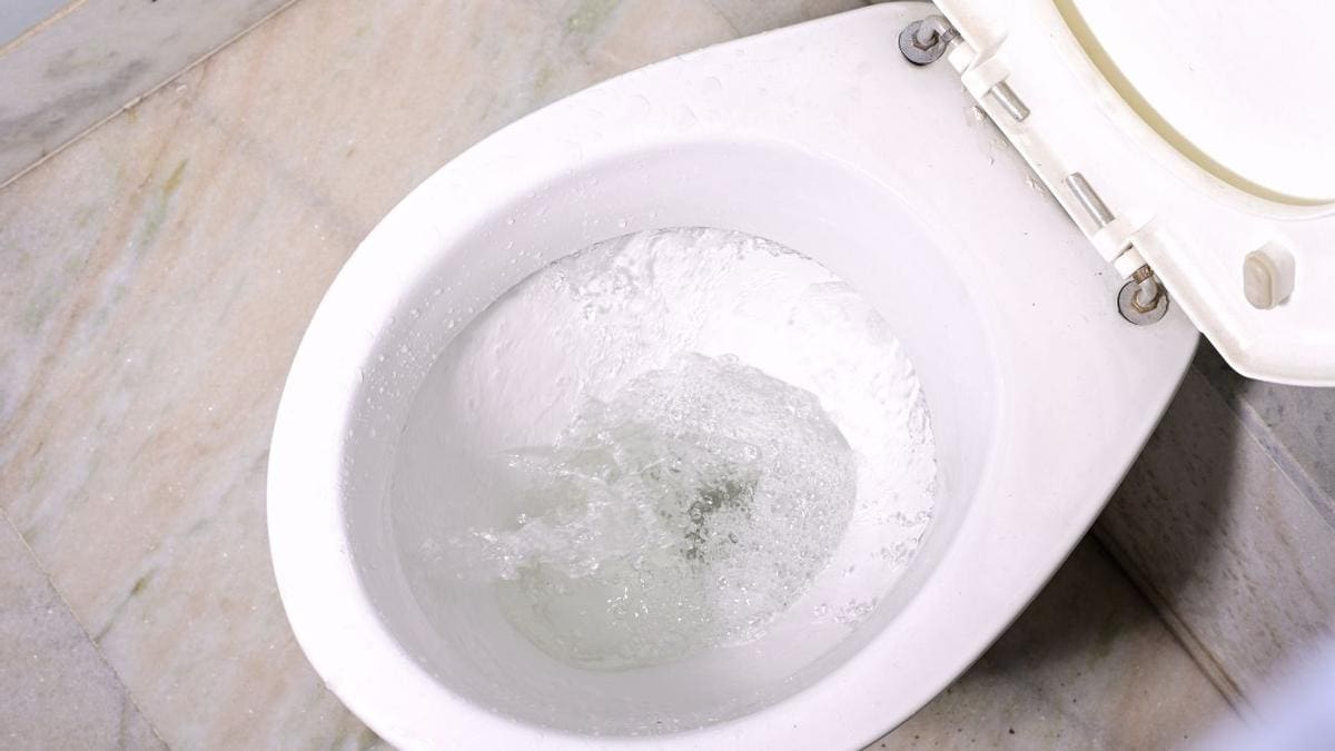Qual é o propósito de jogar vinagre no vaso sanitário? Qual é o propósito de jogar vinagre no vaso sanitário?