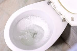 Para qué sirve tirar vinagre en el inodoro y cuál es la cantidad ideal para que funcione