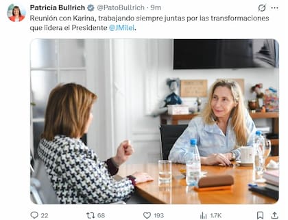 El tuit de Bullrich