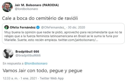 El tuit en el que Andrés Calamaro celebró una agresión de Jair Bolsonaro a Ofelia Fernández