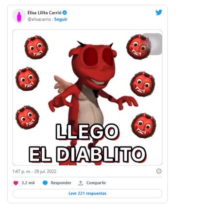 El tuit que publicó Elisa Carrió cuando Sergio Massa asumió como ministro de Economía