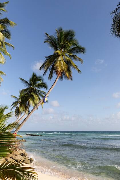 El turquesa intenso del mar, que por momentos es verde flúo.