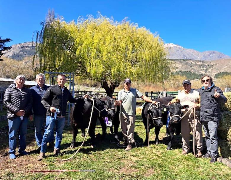 Angus en la estepa: la revolución ganadera de Iturburu en la Patagonia
