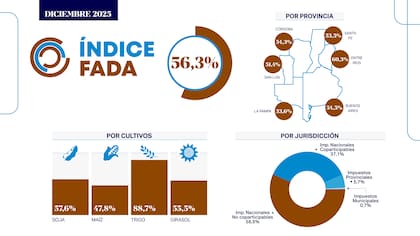 El último informe de FADA en números