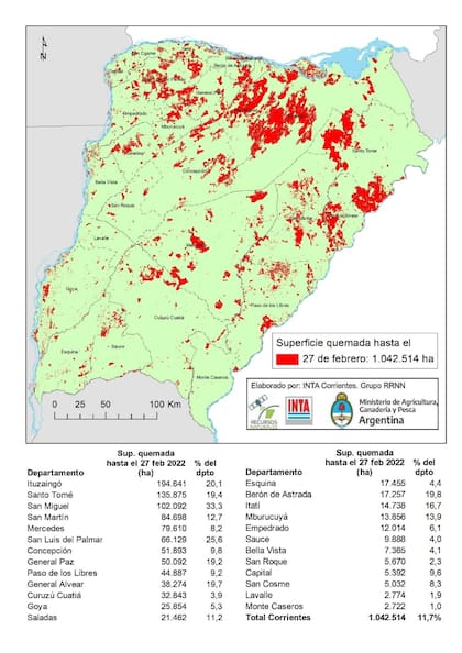 El último informe sobre hectáreas quemadas en Corrientes: 1.042.514 hectáreas