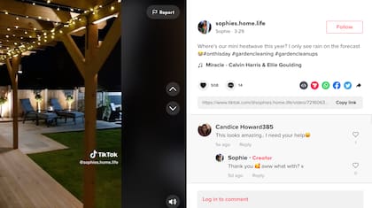El último posteo que la mujer hizo para presumir su jardín