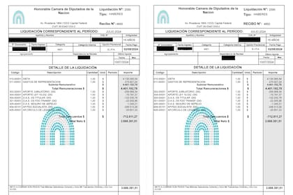 El último recibo de sueldo de un diputado nacional