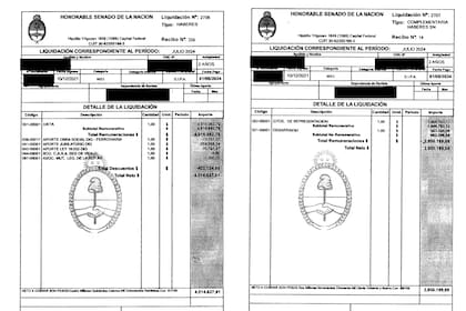 El último recibo de sueldo de un senador nacional